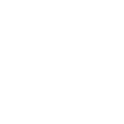 community manager